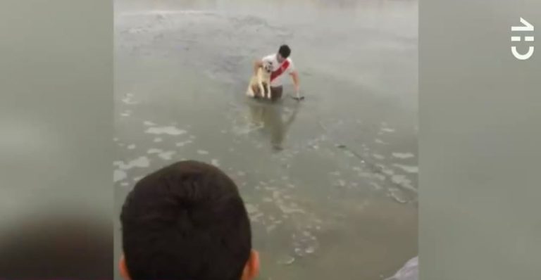 Lamentable final: Captan heroico rescate de perrito que se había caído a un lago congelado