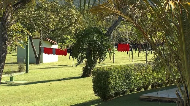 Hotel de lujo, pero con tendedero: La imagen de la concentración de la Roja que se está viralizando