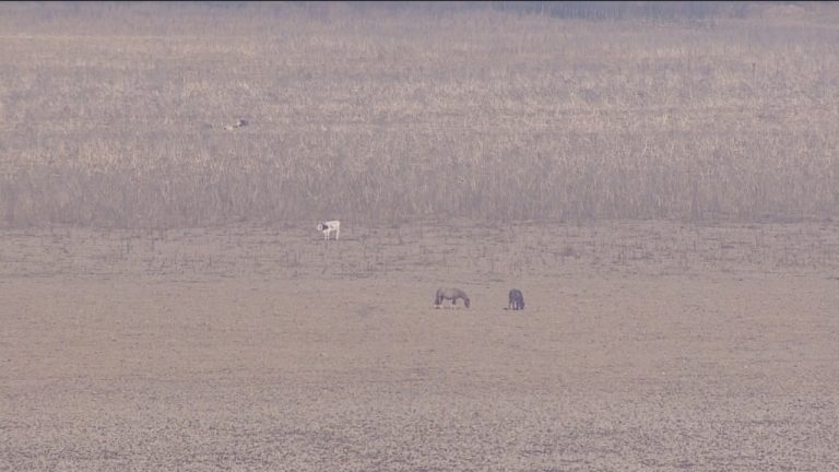 Desaparición total de la Laguna de Aculeo: Estudio responsabiliza a la sequía