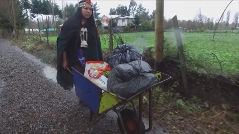 La lucha de hortaliceras para no ser expulsadas del centro de Temuco por la municipalidad