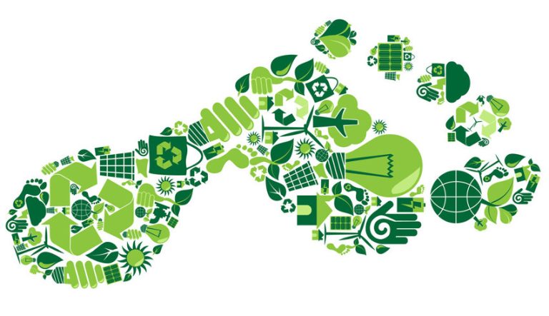Conoce la aplicación que sirve para medir la huella de carbono de tu empresa