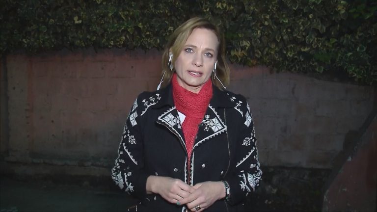 Goic salió a recordar “el compromiso de Piñera con los pacientes” sobre recursos a la Ley Nacional del Cáncer