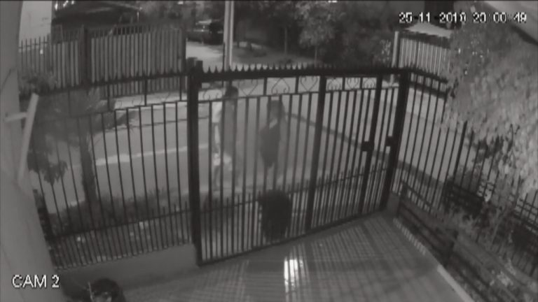 “Me siento como encarcelada y él libre”: Mujer acusa constantes agresiones y amenazas de vecino