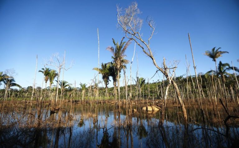 ¡No hay caso! La deforestación de la Amazonía pone en riesgo la seguridad hídrica de Sudamérica