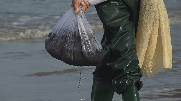 Pescadores artesanales debieron sacar kilos de carbón de la bahía de Quintero