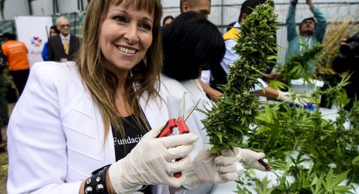 Ana María Gazmuri renunció a RD por discrepancias sobre la Ley de Cultivo Seguro y acusó 