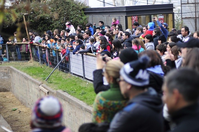 5 imperdibles panoramas familiares para salir de casa en estas vacaciones de invierno