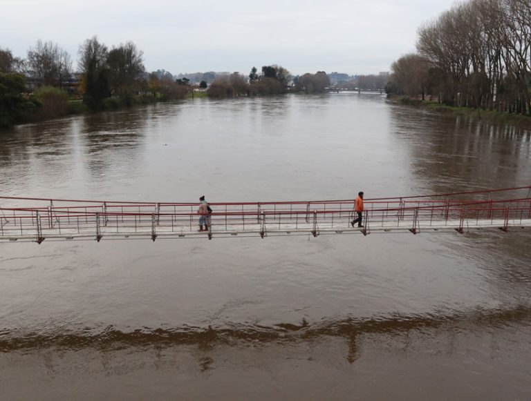 Confirman que derrame de petróleo también alcanzó al río Rahue en Osorno