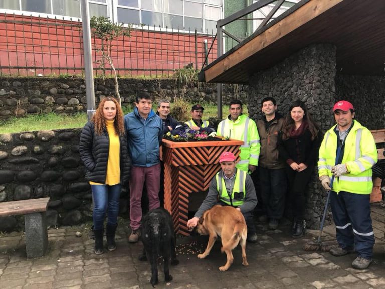 Instalan maceteros con casita en Panguipulli para que perros abandonados tengan refugio