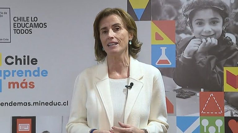 Cubillos y paro docente: “Es momento de implementar muchos de los puntos en los que hay acuerdo