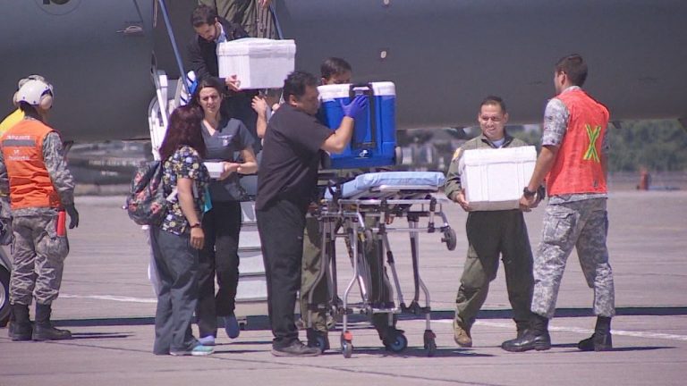 Sociedad Chilena de Trasplantes: “Estas noticias dan la oportunidad de revisar los procesos de procuramiento y donación”