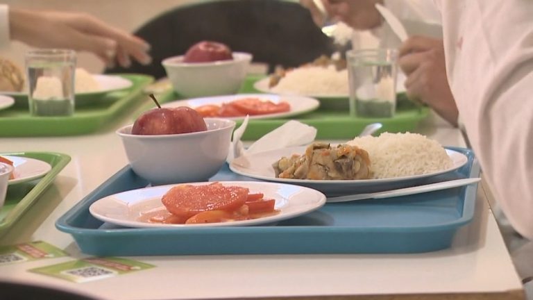 Frutas podridas y alimentos en mal estado: Las deficiencias sanitarias de proveedora para Junaeb y Junji