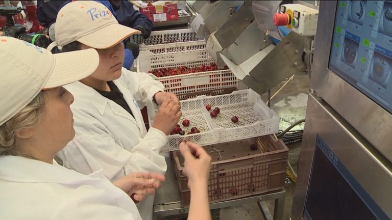 ¿Mejora la productividad? El debate por proyecto de jornada laboral de 40 horas