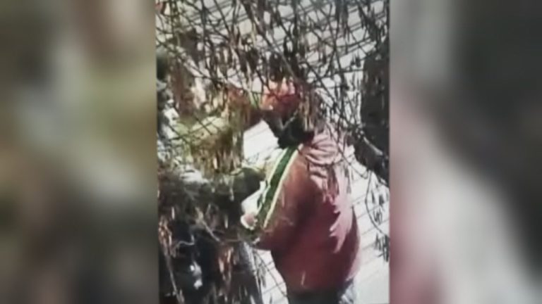 Turistas españoles sufrieron violento asalto durante la madruga en pleno centro de Santiago