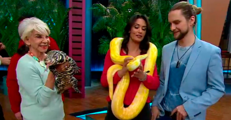 Jean Philippe Cretton venció su miedo a las serpientes: La selva se tomó Viva La Pipol junto al Animal Park