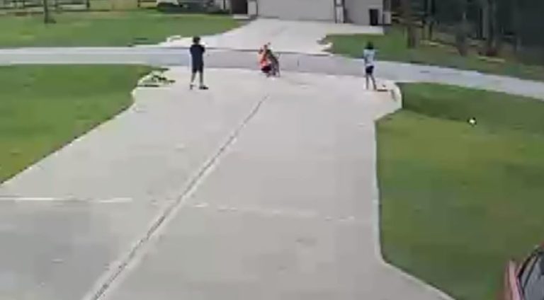 Niño de 6 años sufrió el brutal ataque de un pitbull: Vecino logró rescatarlo