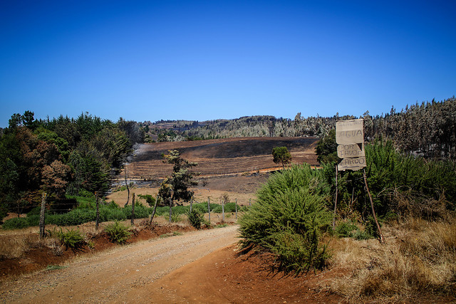 Diputados RN piden tipificar usurpaciones de terreno como delito: Penas irían desde los 61 a los 301 días de presidio