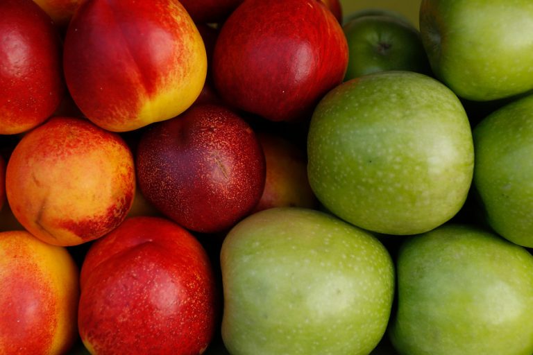 Colegio de Nutricionistas entrega 10 consejos para prevenir enfermedades cardiovasculares