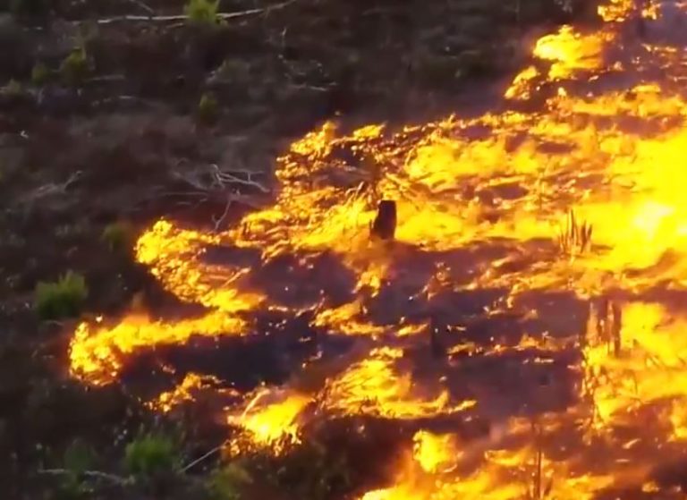Arde a velocidad récord: Las 3 imágenes que muestran la magnitud de los incendios en la Amazonía