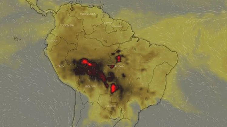 Crisis climática en el Amazonas: Columnas de humo llegarán hasta Buenos Aires este fin de semana