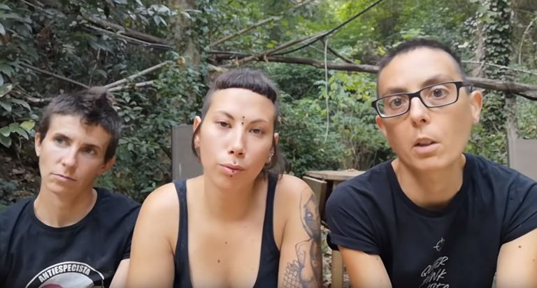 Veganos fundaron santuario animal y separaron a las gallinas de los gallos: “No queríamos que las violaran”