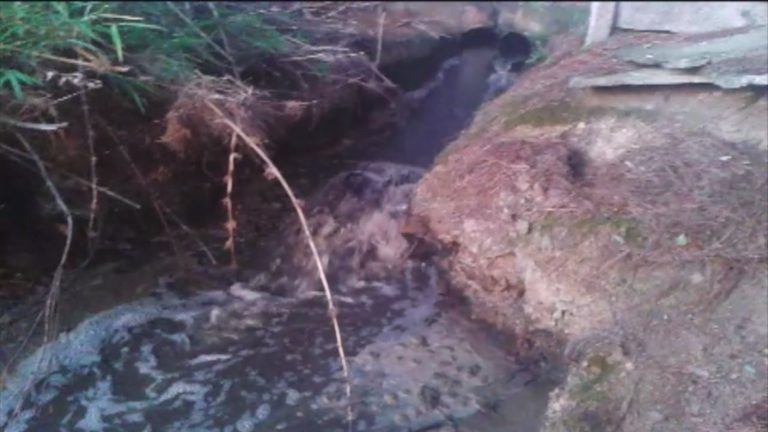 Más allá del escándalo de Osorno: Justicia investiga a Essal por contaminación en Lago Llanquihue y en Los Muermos