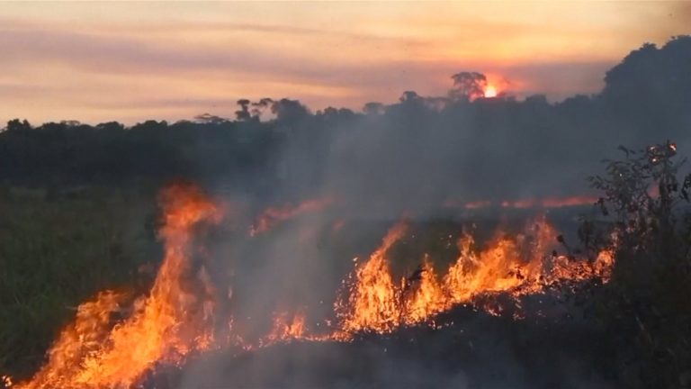 G7 ofreció US$20 millones para combatir incendios en la Amazonía, pero Brasil rechazó la ayuda
