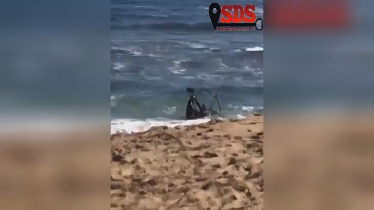 Registran momento cuando parapente cae en plena playa de Reñaca: Instructor escapa y abandona a pasajero