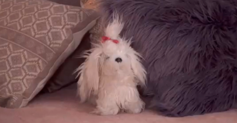 Vieja Chica: Este es el motivo del nombre del peluche de Dominga