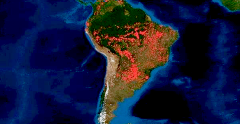 Desastre ecológico en el Amazonas: Se quema el equivalente a 4 canchas de fútbol cada minuto