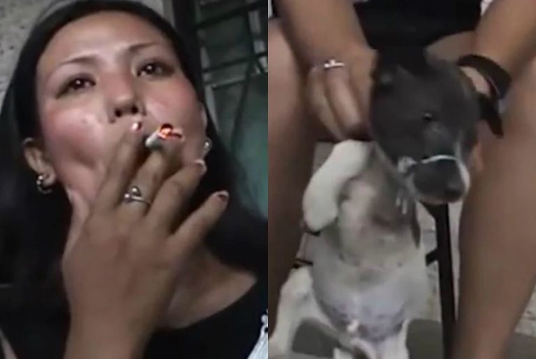 Mujer se grabó fumando y apagando el cigarro en los ojos de un perrito