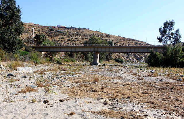Decretan “zona de catástrofe” a la región de Valparaíso por los efectos de la sequía