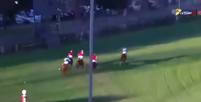 Grave accidente en carrera a la chilena en Club Hípico: Dos caballos muertos y jinetes heridos