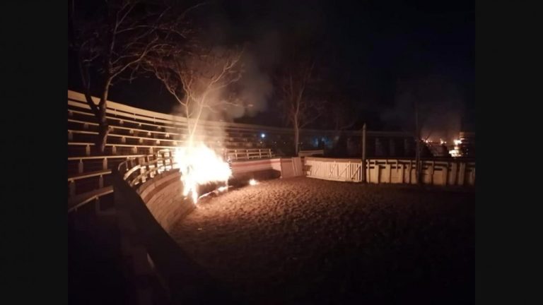 Grupo de animalistas quemaron parte de la medialuna de Curacaví