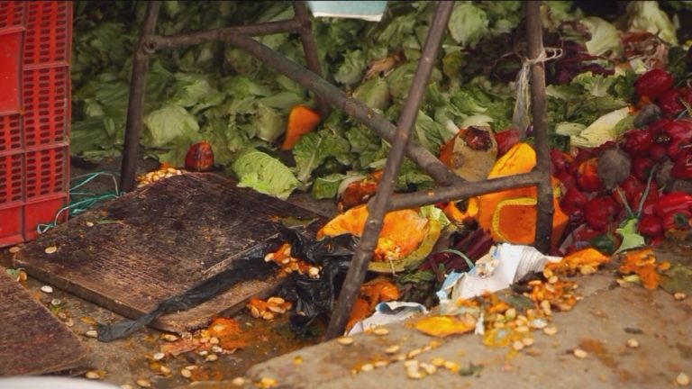 Desperdicio de comida: Chilenos botamos 3,7 millones de kilos de alimentos al año