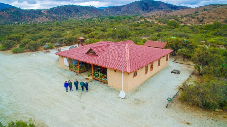 Fan Chile: Actividad que tiene a los niños como protagonistas