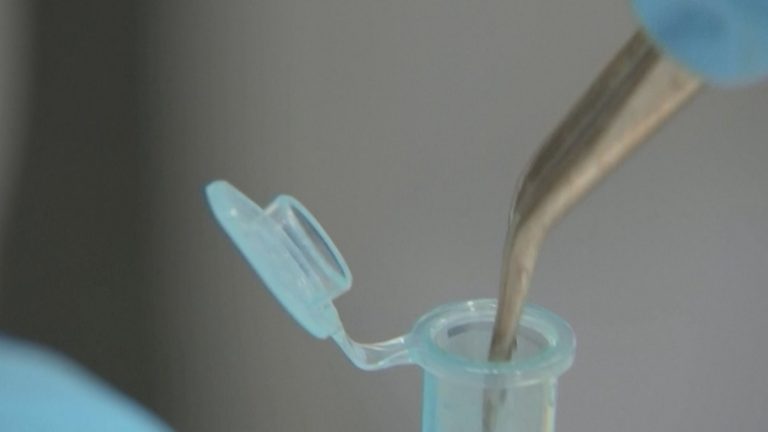 Partículas de contaminación ambiental atraviesan placenta y podrían llegar al feto en desarrollo