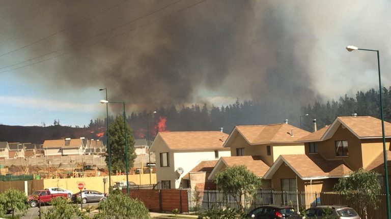 Intendente de Valparaíso sostiene que incendio forestal 