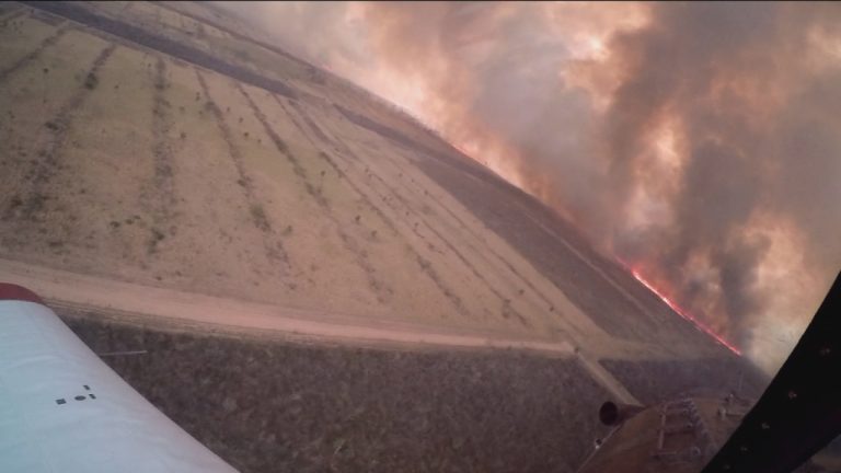 “Lo más crudo fue ver cómo morían los animales”: Los registros del equipo chileno que combatió en la Amazonía