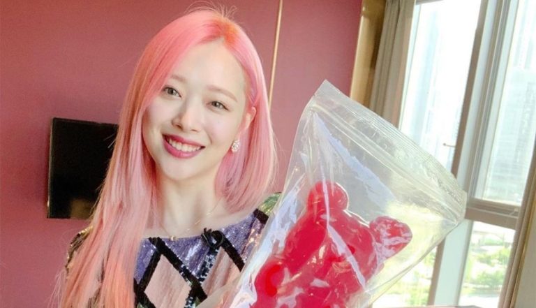 Activismo, fotos eróticas y apoyo al aborto: Los episodios que ocasionaron los ataques y el posible suicidio de Sulli