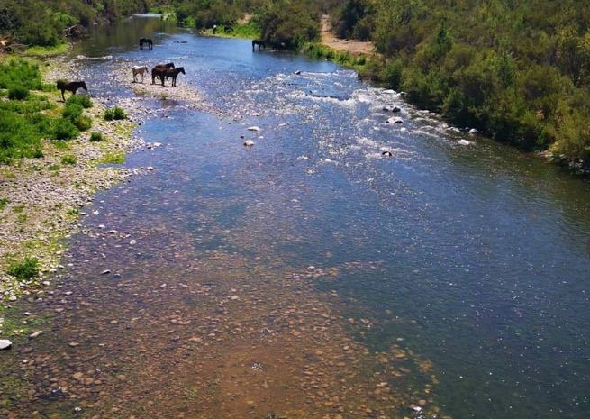 Captan el río Aconcagua con caudal aún cuando hace un par de días estaba seco