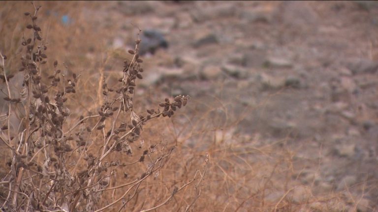 ¿Subir o no la cuenta? La polémica medida para optimizar el consumo de agua y combatir la sequía