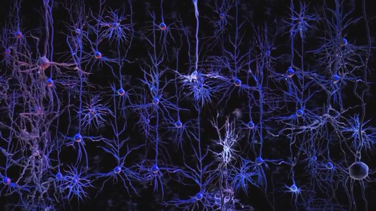 La tecnología esta cada vez más cerca de poder leer nuestro cerebro