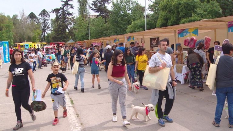 El festival gratuito de mascotas 