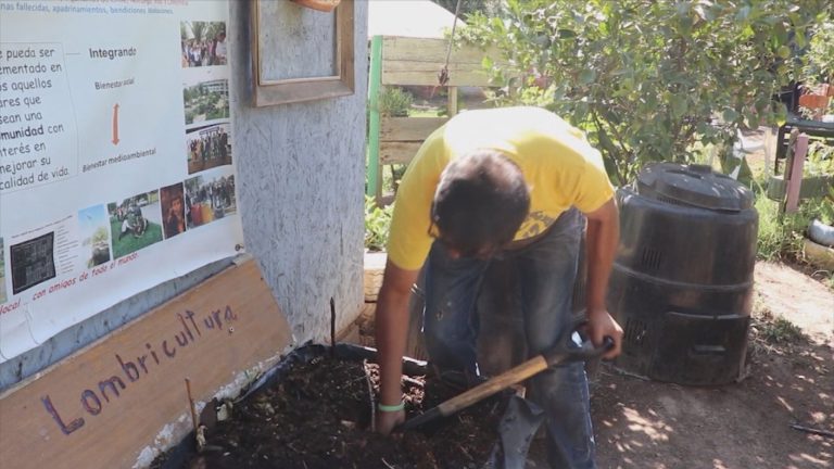 Ecobarrios: Reciclaje, huertos urbanos y compost se toman las comunas del país