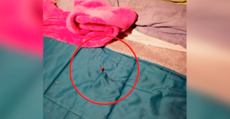 Nueva bala loca impactó en cama de niño en La Pintana