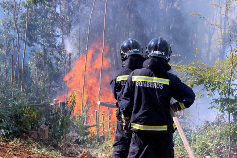 Por amenaza de incendio forestal declaran Alerta Temprana Preventiva para la RM