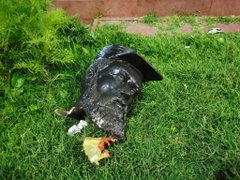 Aparecen decapitados los bustos del monumento a los Héroes de Arica