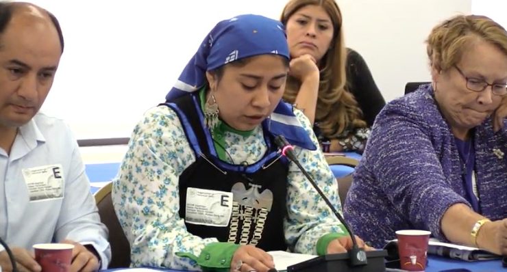 Belén Curamil: “Lo que está pasando en Chile es lo que el pueblo mapuche viene denunciando hace décadas”