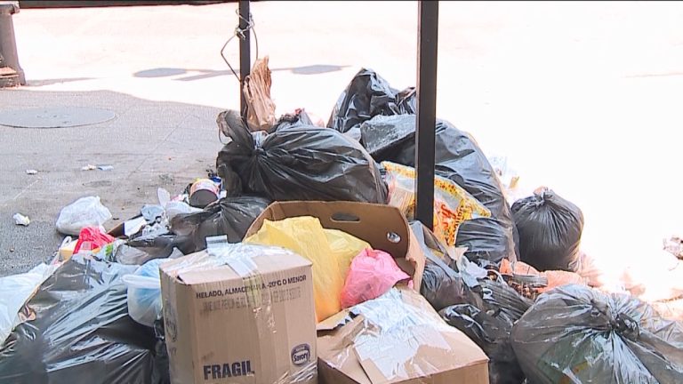 Presidente de Federación de Recolectores de Basura: 